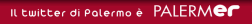 Twitter Palermer