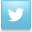 Twitter Palermer