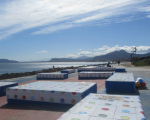 Fotoblog