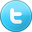 Twitter Palermer