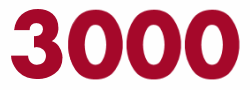 3000