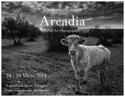 Domenico Guddo - “Arcadia”
