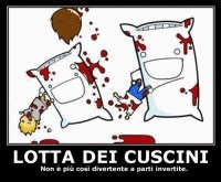 Lotta dei cuscini