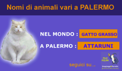 Mago Miriddu e i nomi di animali e le patologie a Palermo