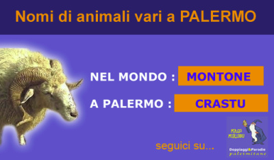 Mago Miriddu e i nomi di animali e le patologie a Palermo