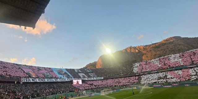 Palermo - Catanzaro, ultimo giro di campo per i rosanero