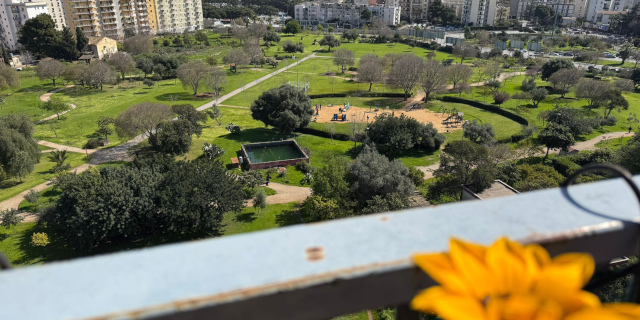 Chiudiamo Parco Uditore, oppure apriamolo veramente