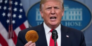 L'arancina è fimmina nel video con l'IA e i leader mondiali