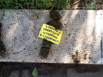 “Il cane ha dimenticato la padrona o il padrone!!!”