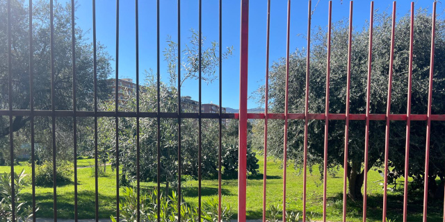 Le sette domande sul Parco Uditore che nessuno ha ancora fatto