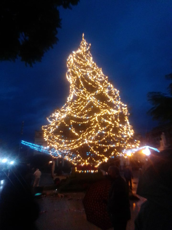 Polemiche sui social per il cedro di Natale di piazza Ruggero Settimo