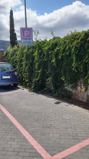 A Sanlorenzo mercato il parcheggio rosa per donne in gravidanza e neomamme