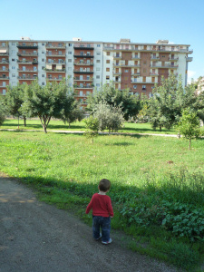 C'è un grande prato verde (aggiornamento)